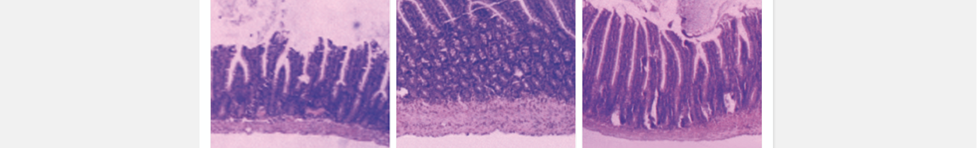 5c15e7a859a6d.png